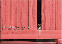 I'm watching you