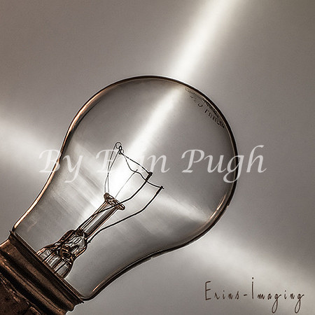 7086 light bulb web