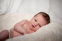 Beau  2012  15_pp