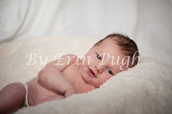 Beau  2012  15_pp