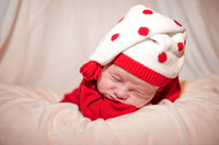 Beau  2012  29