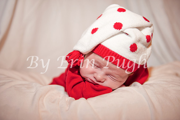 Beau  2012  29