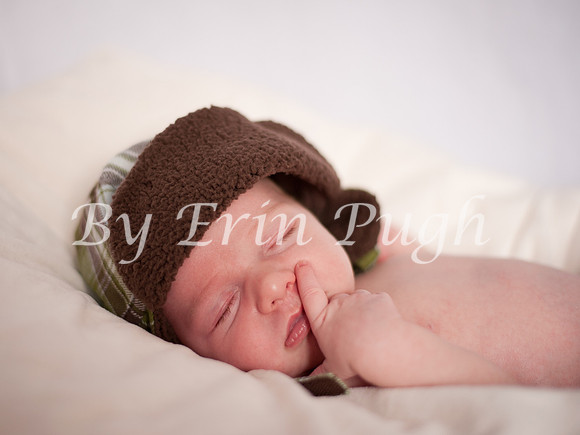 12-27-12  Beau  29