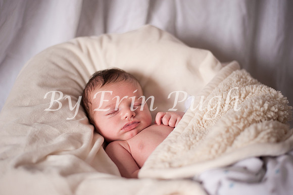 12-27-12  Beau  10