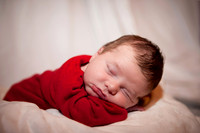 Beau  2012  27 copy_pp copy