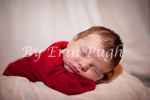 Beau  2012  27 copy_pp copy