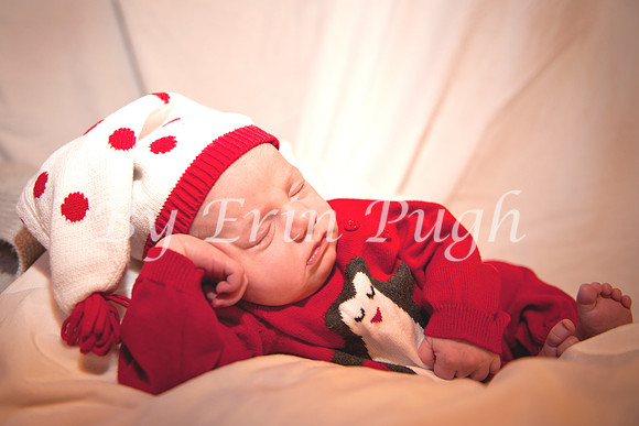 Beau  2012  33 reto