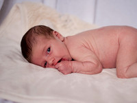 12-27-12  Beau  72-1