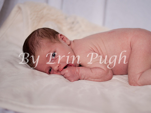 12-27-12  Beau  72-1