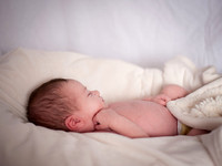 12-27-12  Beau  13
