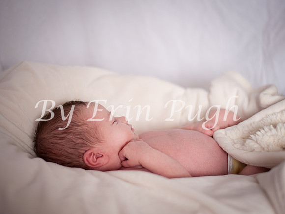 12-27-12  Beau  13